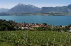 Oberhofen und Hilterfingen 